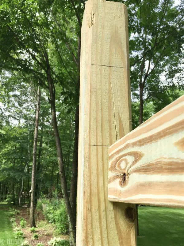 Simple Arbor — step photo 9
