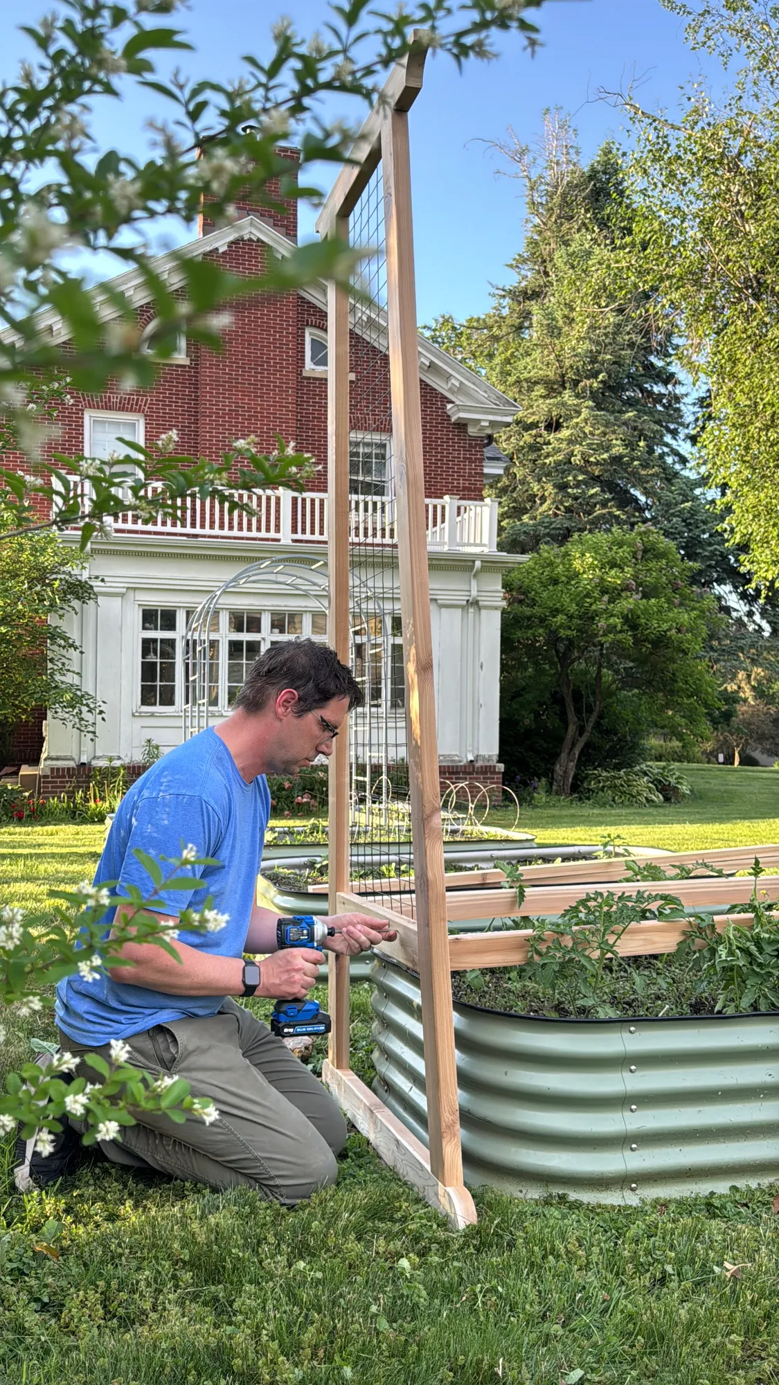 Tomato Trellis — step photo 12