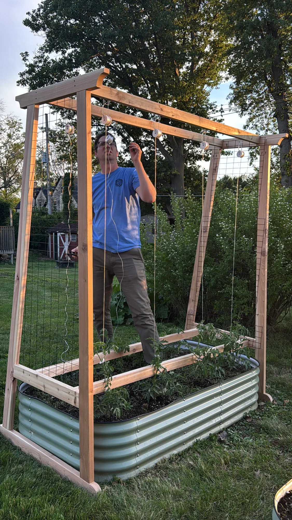 Tomato Trellis — step photo 13
